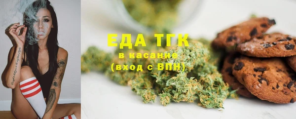 индика Медногорск