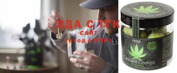 индика Медногорск