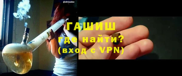 индика Медногорск