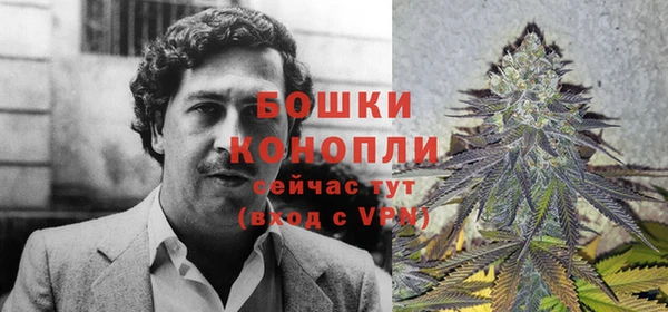 бутират Мегион