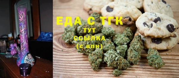 индика Медногорск