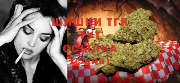 индика Медногорск