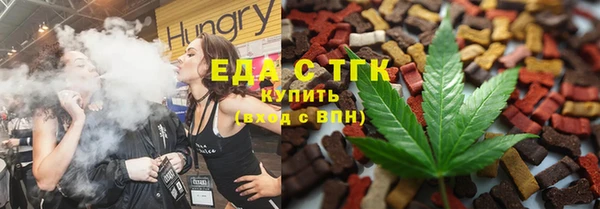 индика Медногорск