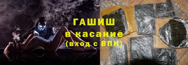 индика Медногорск
