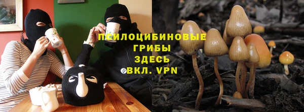 бутират Мегион