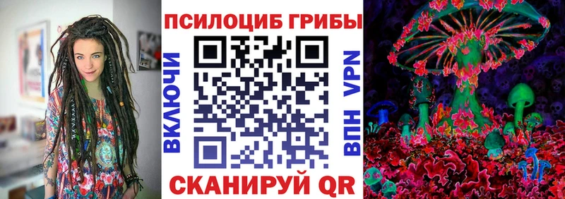 сколько стоит  Котельнич  Псилоцибиновые грибы MAGIC MUSHROOMS 